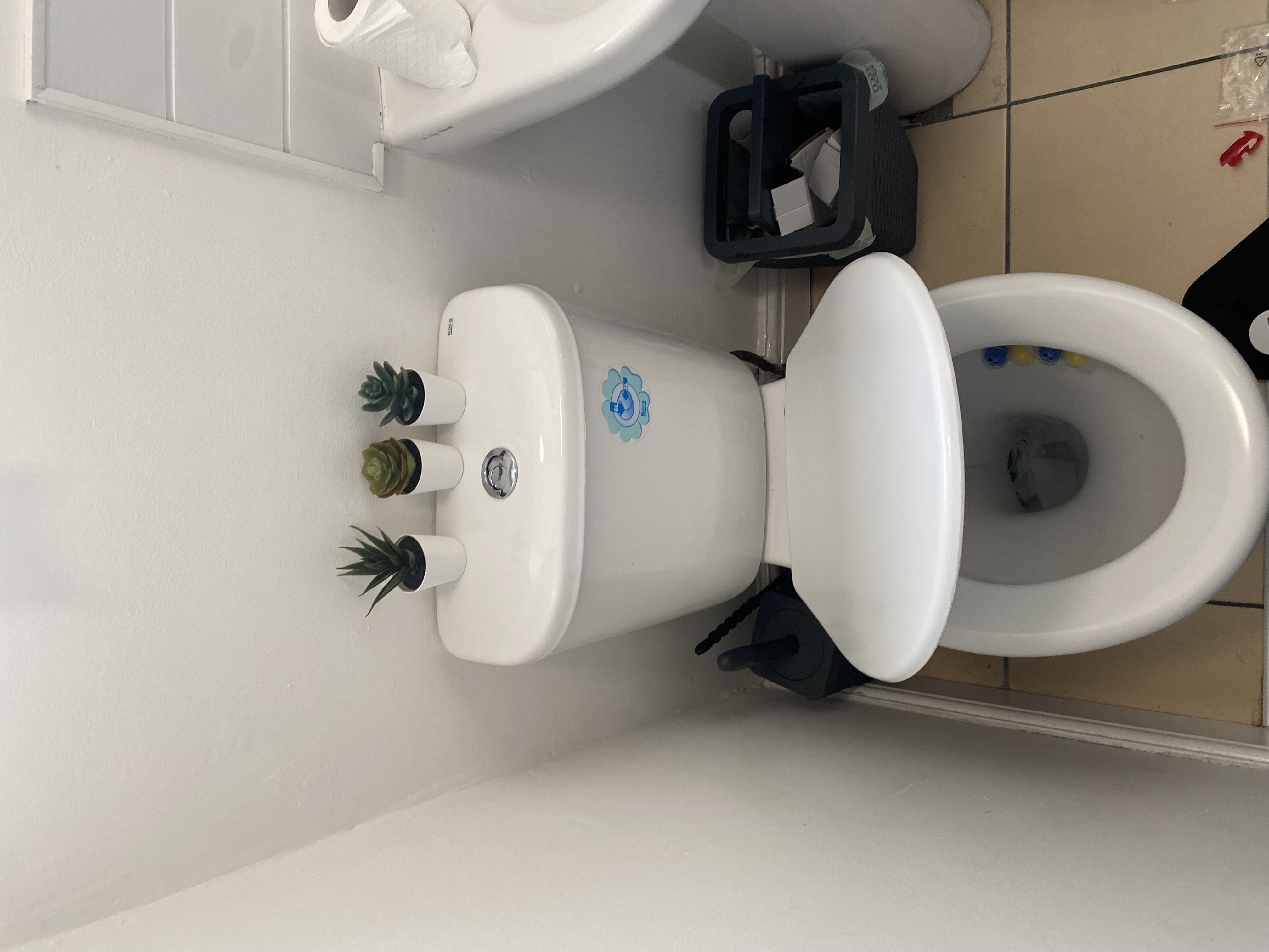 Toilet with new seat